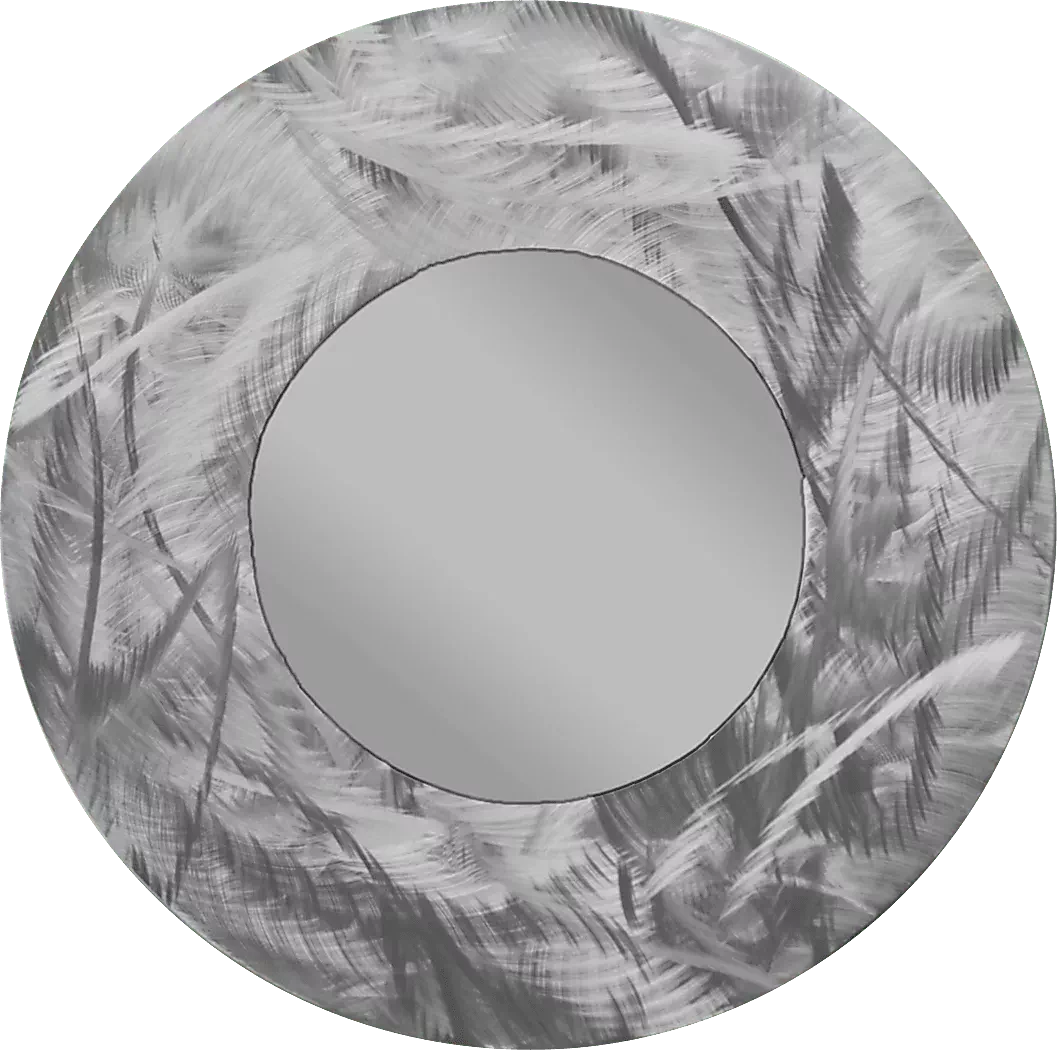 CharolSilverMirror 1 CharolSilverMirror