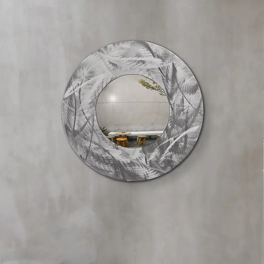 CharolSilverMirror 2 CharolSilverMirror