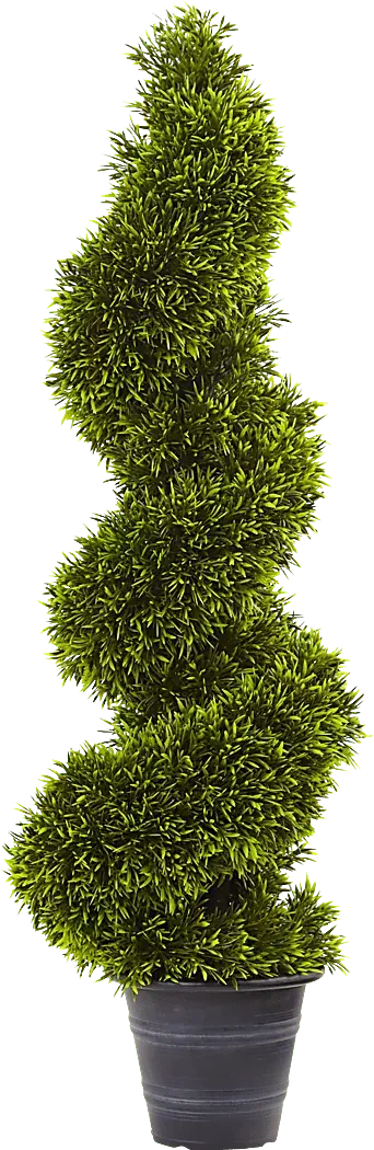 TabethaGreenGrassSilkTree 1 TabethaGreenGrassSilkTree