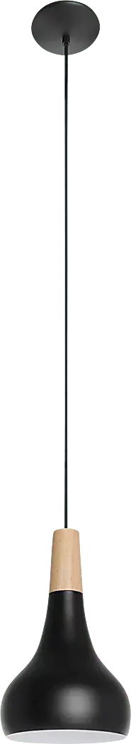 PappusSummitBlackPendant 2 PappusSummitBlackPendant