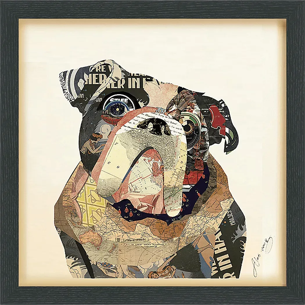 MacemonMultiArtwork 1 MacemonMultiArtwork