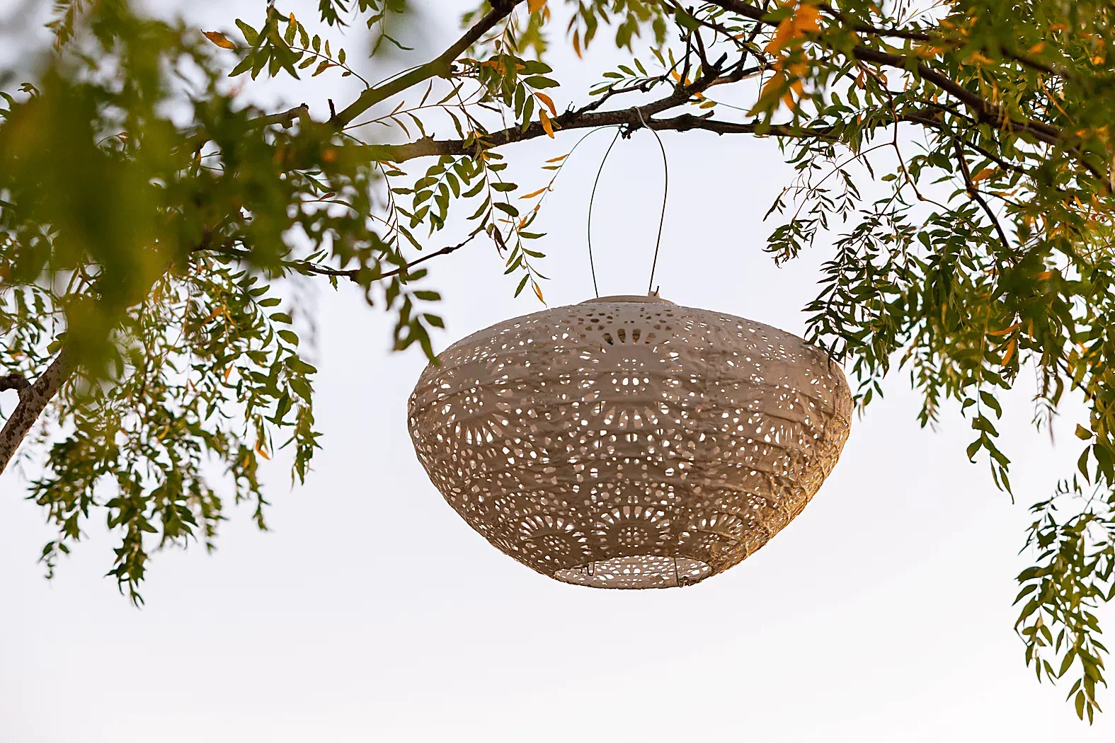 JaylaReefOutdoorWhiteSolarLantern 5 JaylaReefOutdoorWhiteSolarLantern