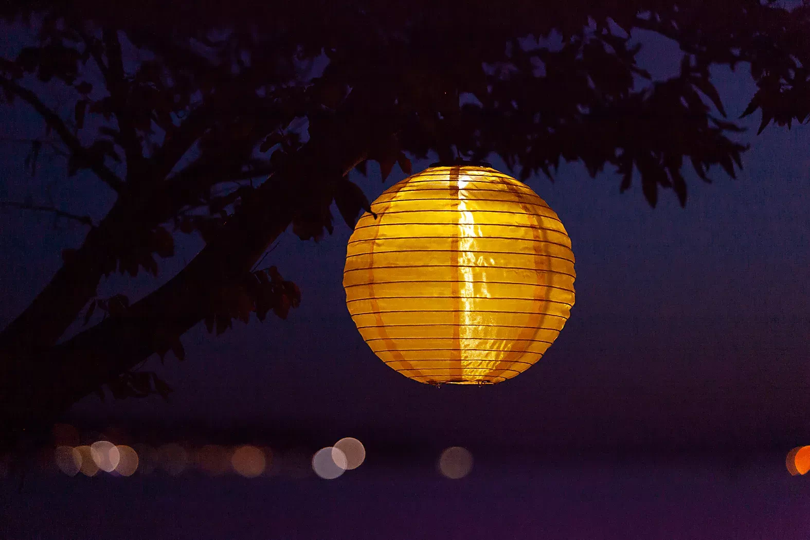 VenseIslandOutdoorYellowSolarLantern 5 VenseIslandOutdoorYellowSolarLantern