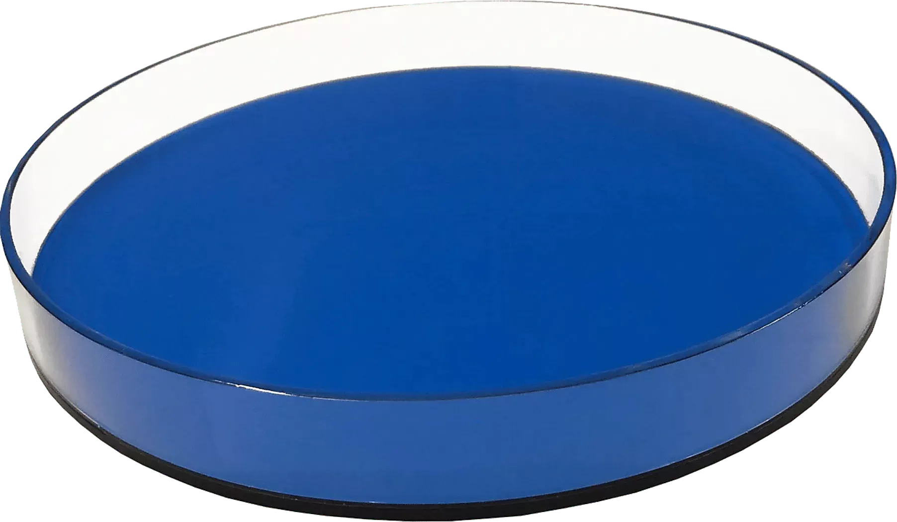 JadelaneINeonBlueTray 1 JadelaneINeonBlueTray