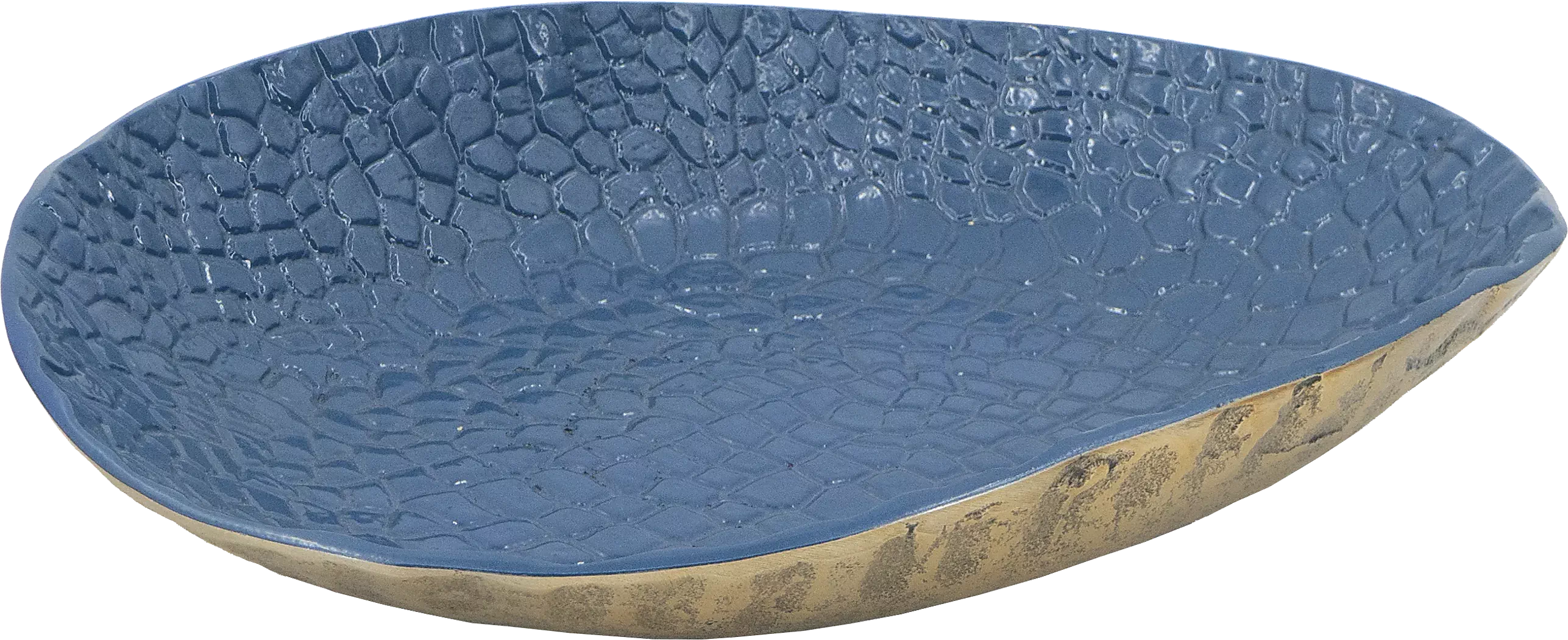 LangneyReefIBluePlatter 1 LangneyReefIBluePlatter