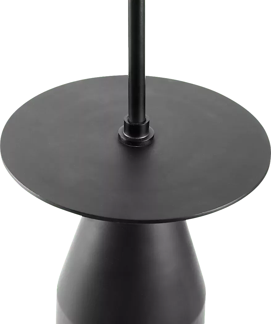 ZioniLaneBlackFloorLamp 1 ZioniLaneBlackFloorLamp