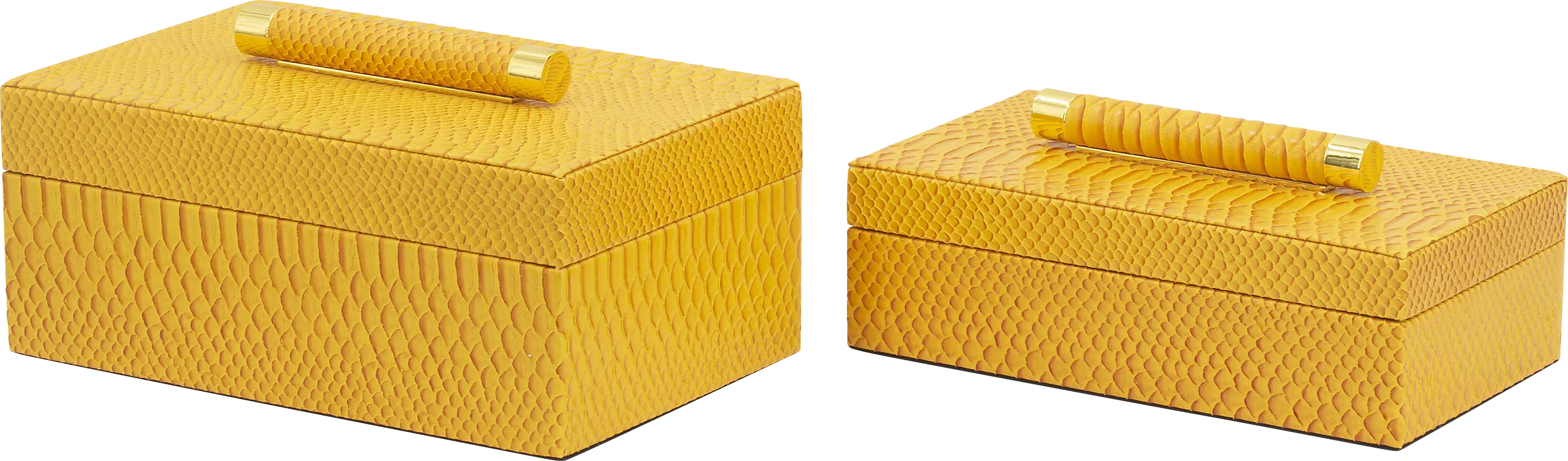 LemonwellOrangeBox,Setof2 1 LemonwellOrangeBox,Setof2