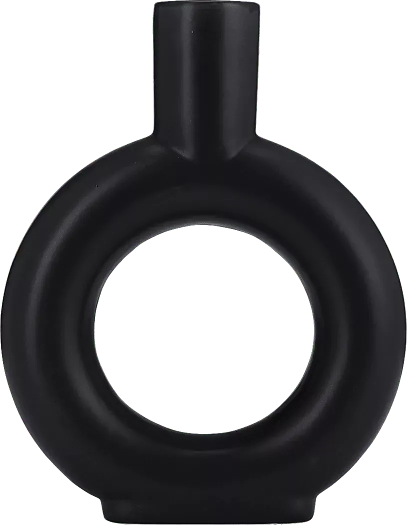 LamessaBlackVase 1 LamessaBlackVase
