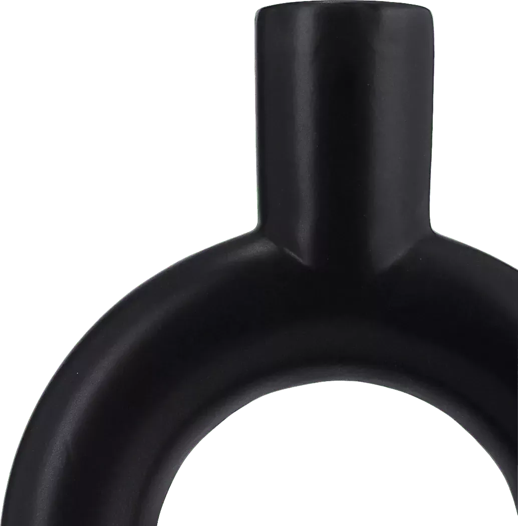 LamessaBlackVase 5 LamessaBlackVase
