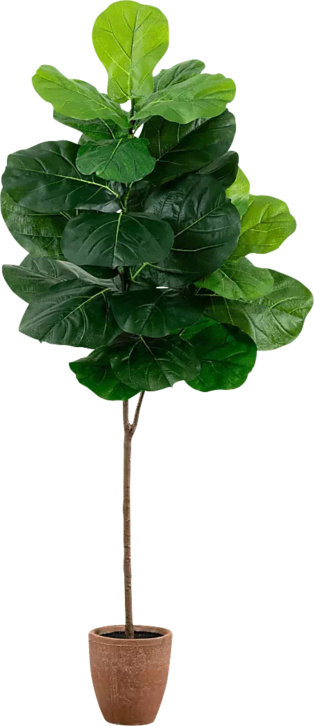 BarrasettIIGreenArtificialFigTree 2 BarrasettIIGreenArtificialFigTree