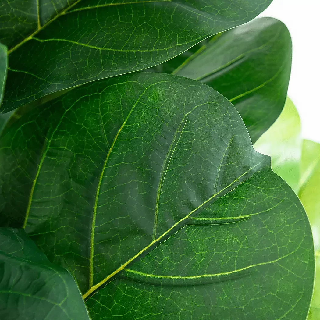 BarrasettIIGreenArtificialFigTree 3 BarrasettIIGreenArtificialFigTree