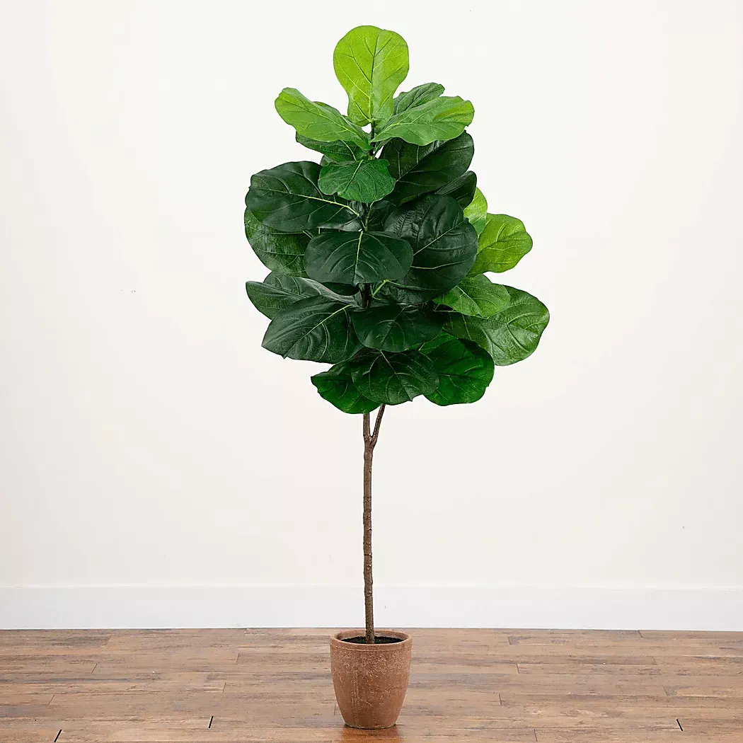 BarrasettIIGreenArtificialFigTree 6 BarrasettIIGreenArtificialFigTree