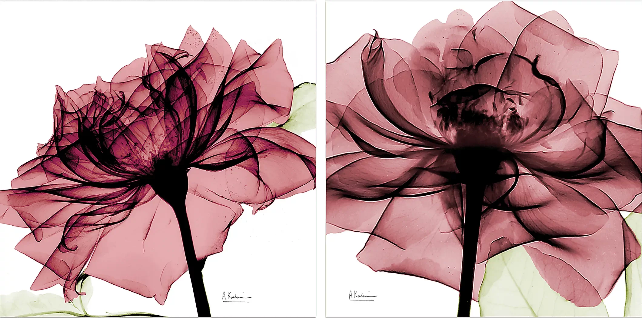 ChamizalPinkArtwork,Setof2 1 ChamizalPinkArtwork,Setof2